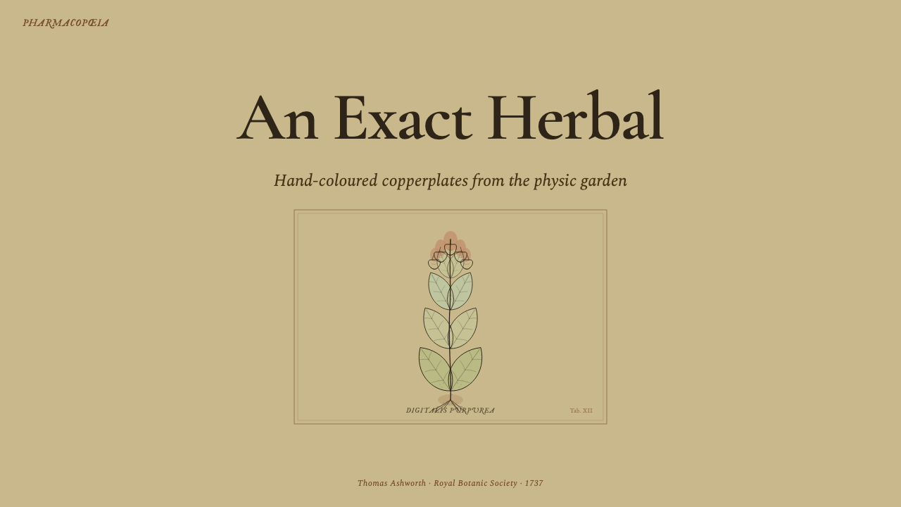 Herbal Pharmacopoeia 设计风格用在幻灯片 · 封面上