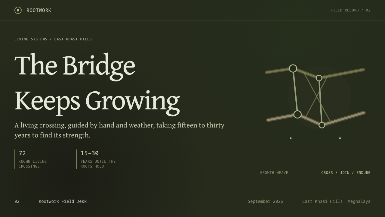 Khasi Living Root Bridge design style applied to a Slide · cover