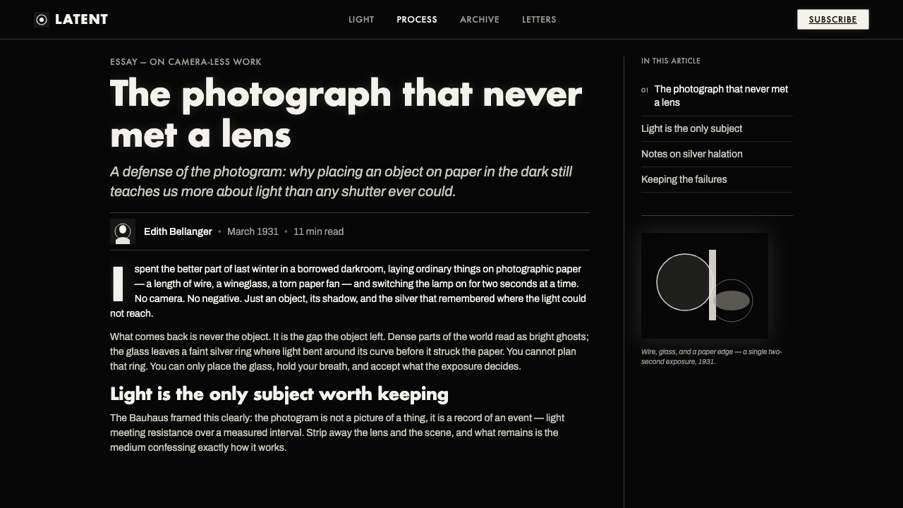 Photogram Rayograph 设计风格用在文章页上