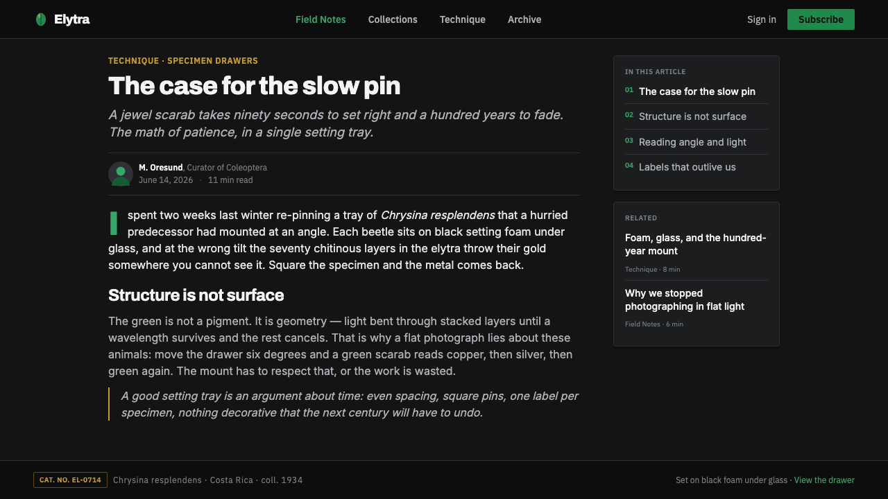 Iridescent Scarab Drawer design style applied to a Article page