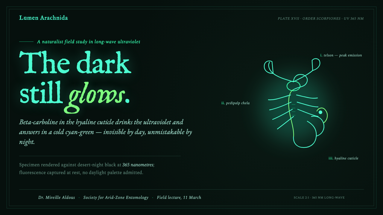 UV Scorpion Glow design style applied to a Slide · cover