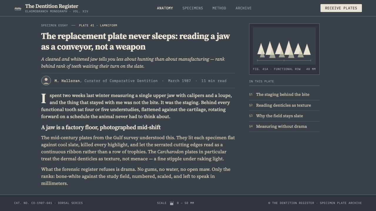 Shark Jaw & Dentition design style applied to a Article page