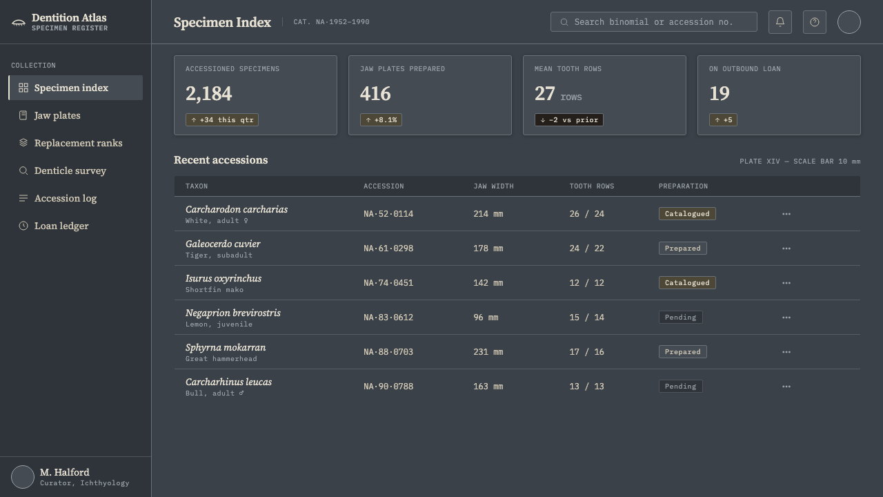 Shark Jaw & Dentition design style applied to a Dashboard
