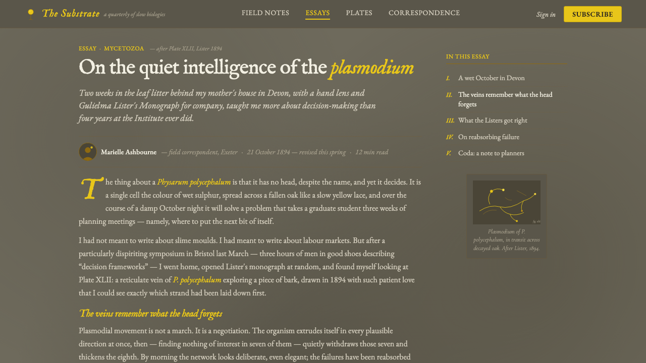 Slime Mold Plasmodium (Lister Plate) design style applied to a Article page