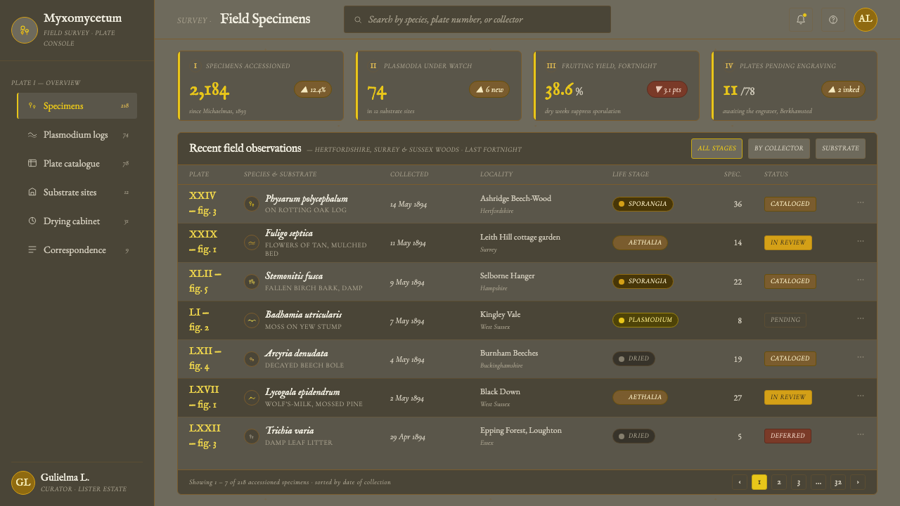 Slime Mold Plasmodium (Lister Plate) design style applied to a Dashboard