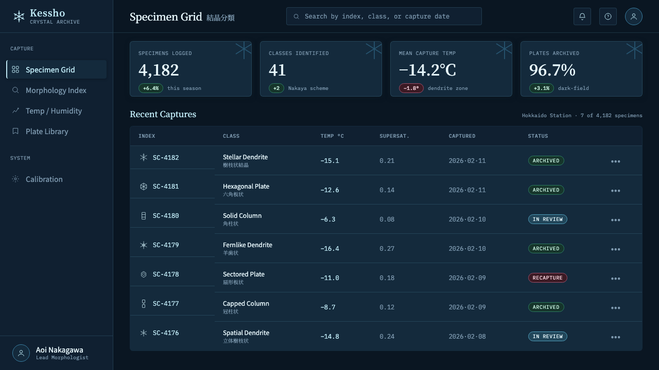 Snow Crystal Classification design style applied to a Dashboard