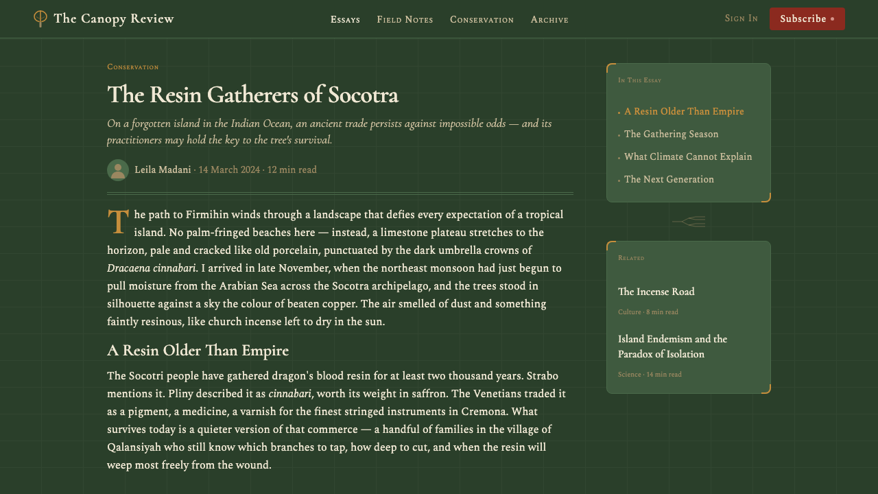 Yemeni Socotra Dragon's Blood Tree design style applied to a Article page