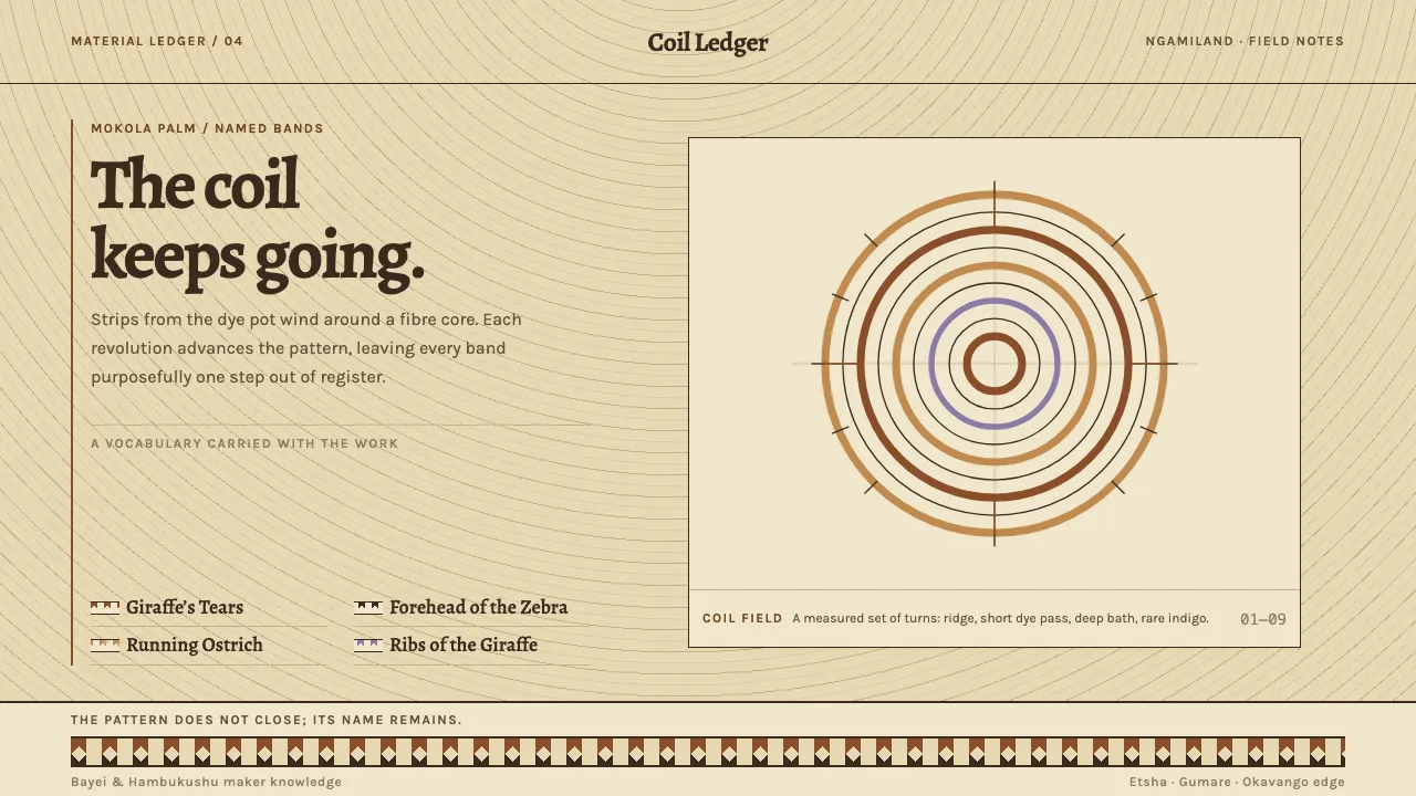 Botswana Coiled Basket — Cover