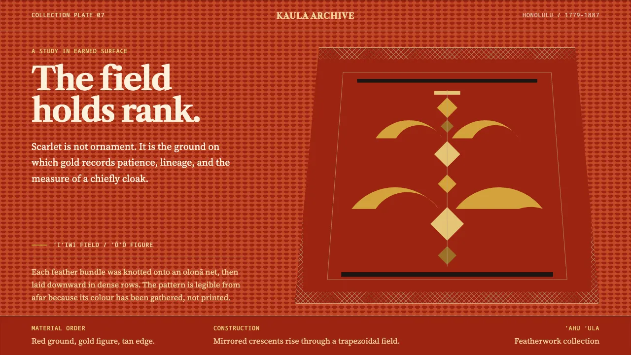 Hawaiian ʻAhu ʻula Featherwork — Cover