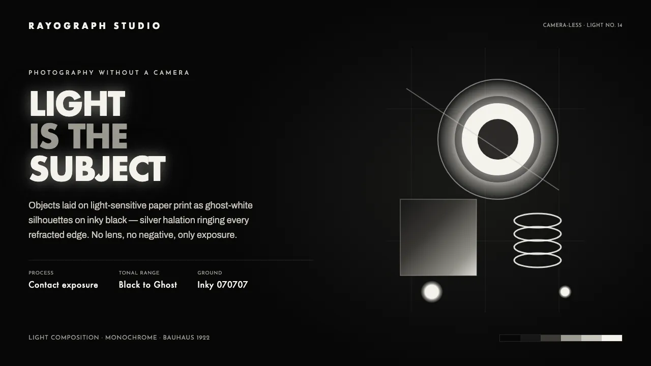 Photogram Rayograph — Cover