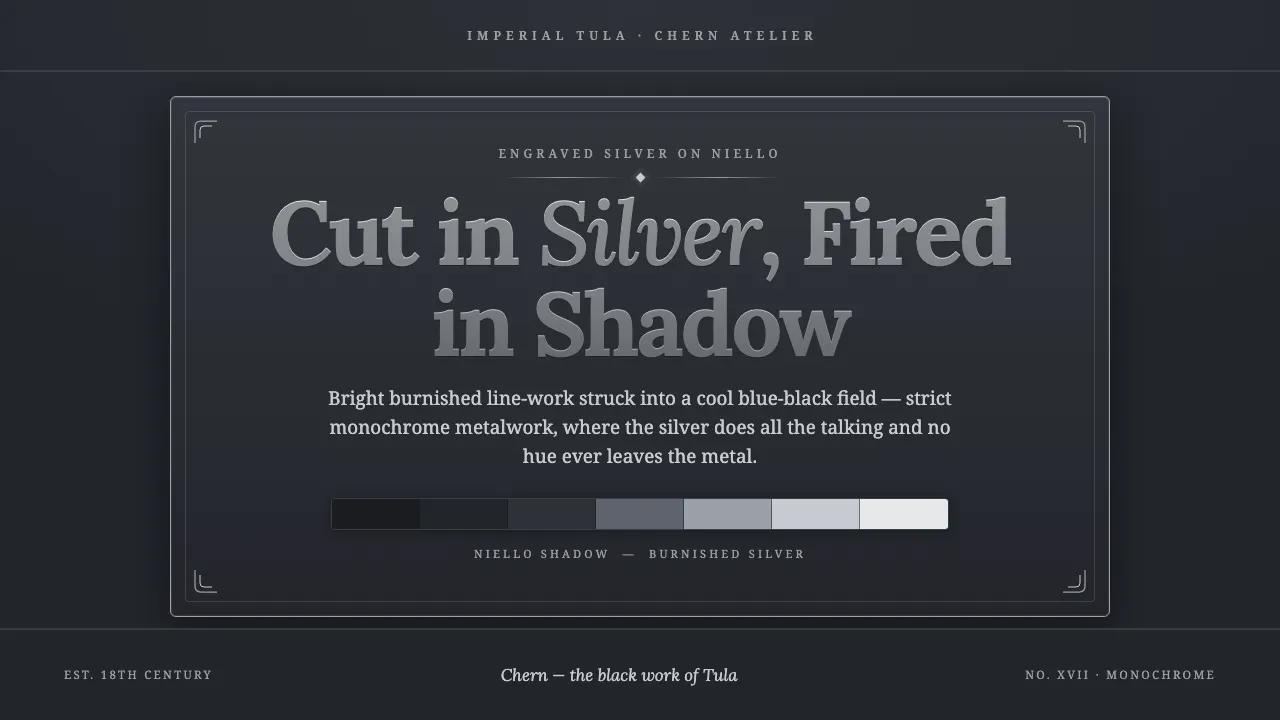 Tula Niello Silver — Cover