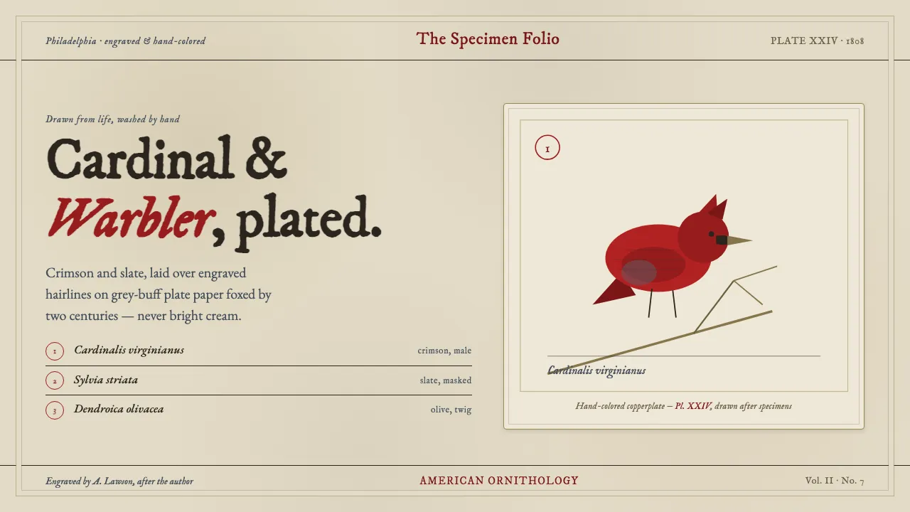 Wilson Ornithology Plate — Cover