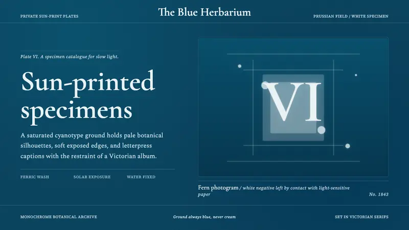 Fern Cyanotype — Cover