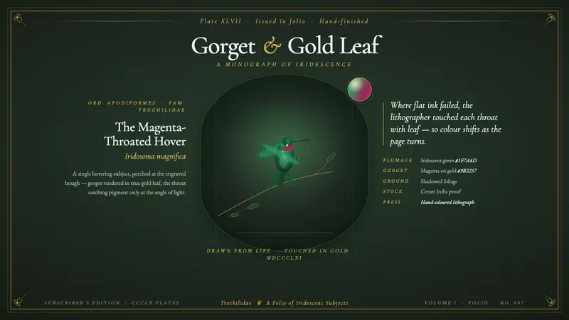 Gould Hummingbird Plate — design style preview