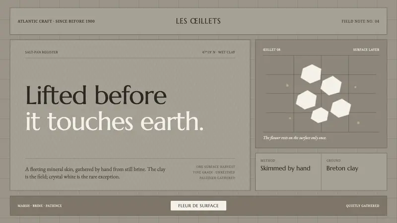 Guérande Fleur de Sel — design style preview