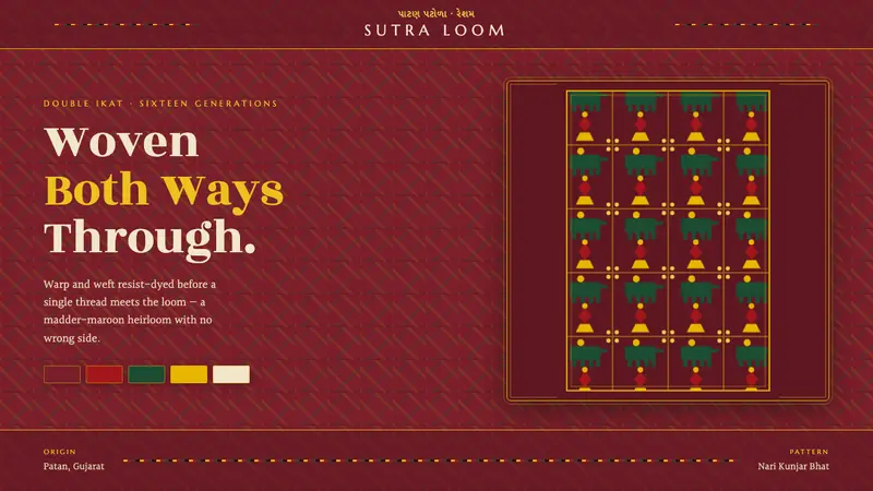 Patan Patola Double Ikat — Cover
