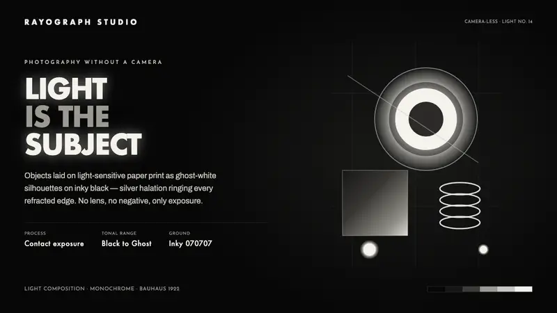 Photogram Rayograph — Cover