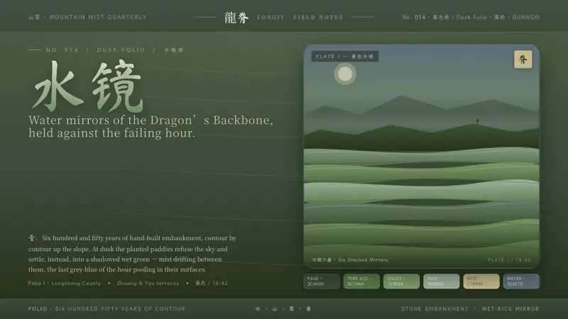 Rice Terrace — Cover