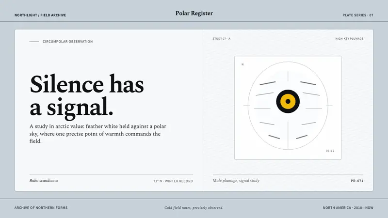Snowy Owl Tundra — design style preview