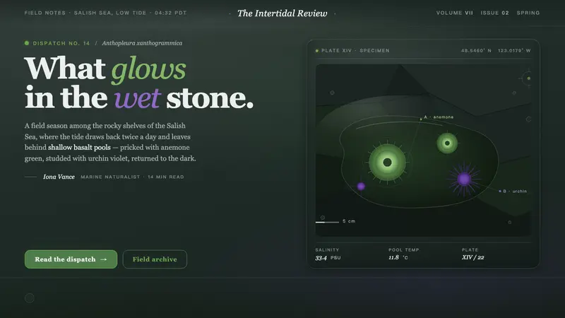 Tide Pool (Intertidal) — design style preview