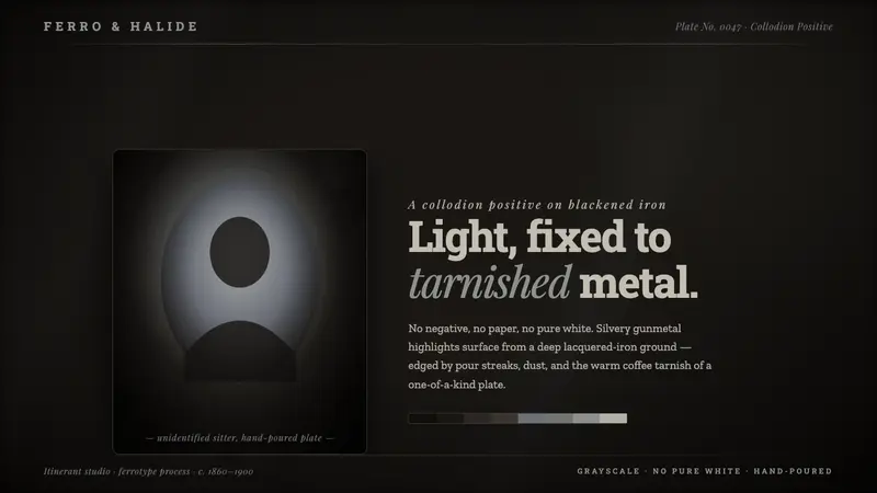 Tintype Wet Plate — design style preview