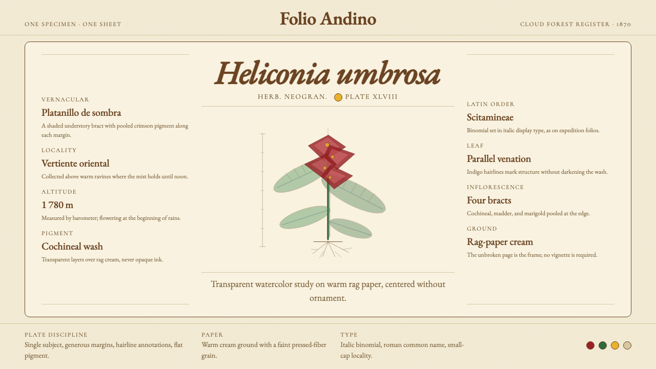 Colombian Botanical (Triana) design style