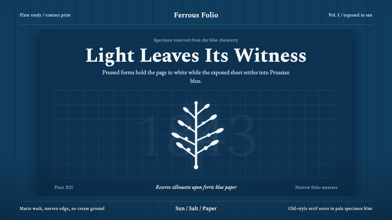 Anna Atkins Cyanotype design style