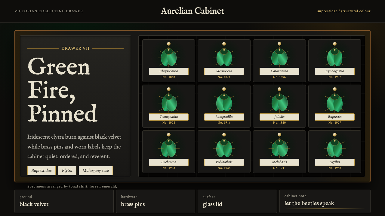 Beetle Specimen Cabinet design style