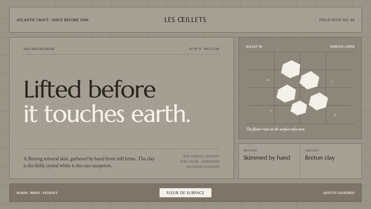 Guérande Fleur de Sel design style — example