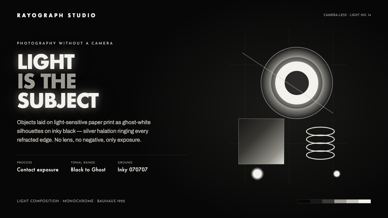 Photogram Rayograph 设计风格示例