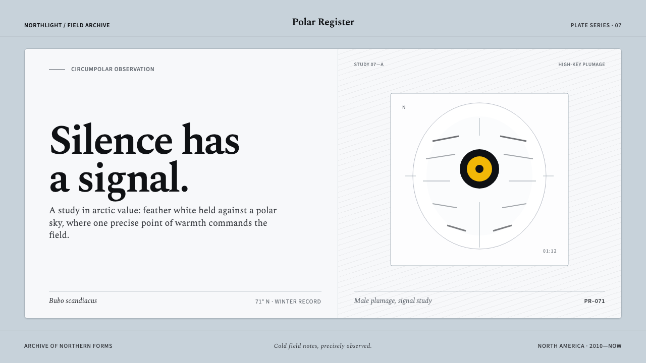 Snowy Owl Tundra design style — example