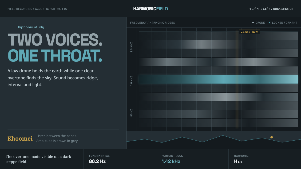 Tuvan Khoomei Throat-Song Viz design style — example